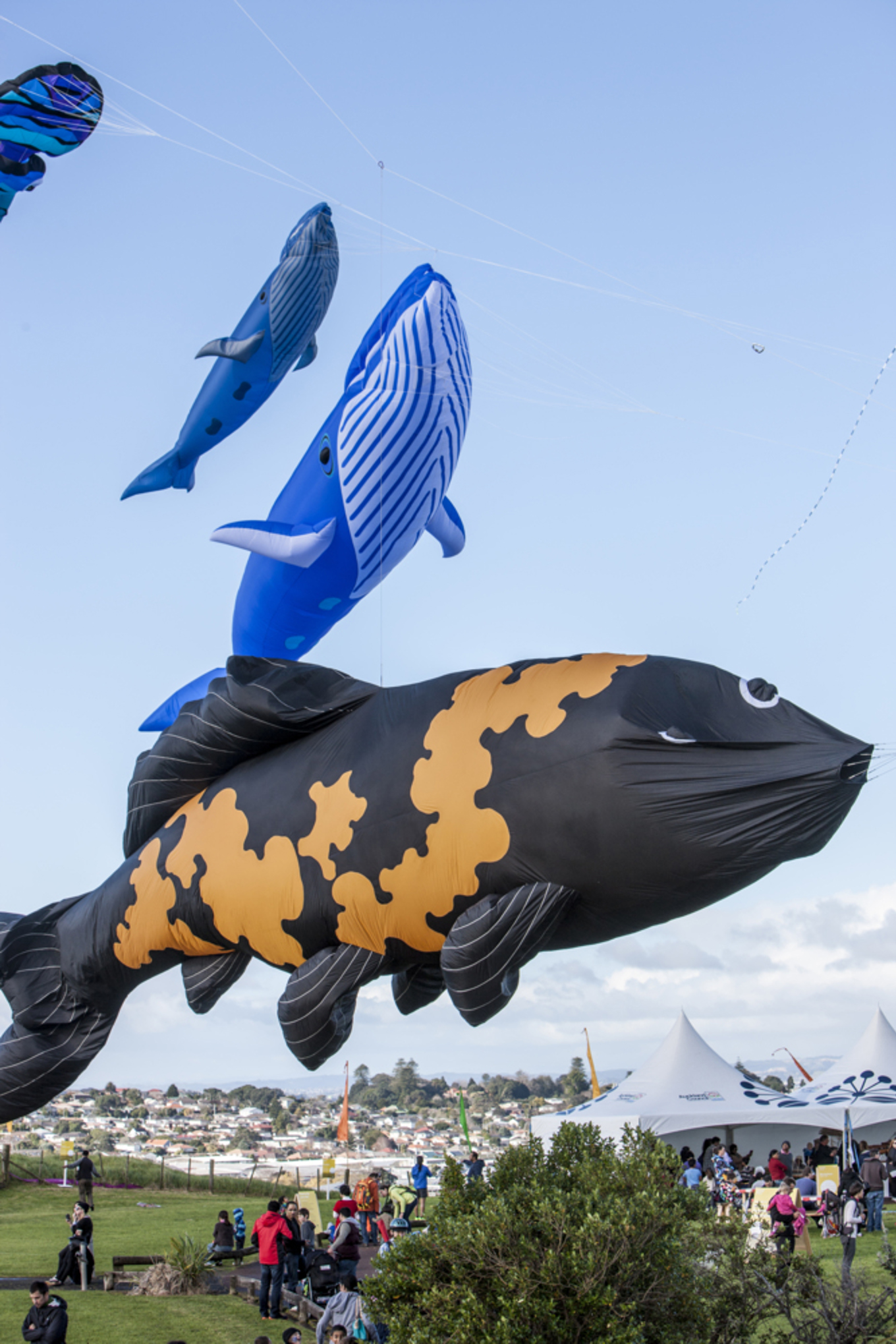 Why do we fly kites at Matariki? OurAuckland