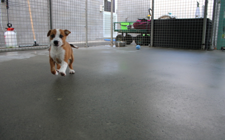 Greta (ON HOLD) tile image