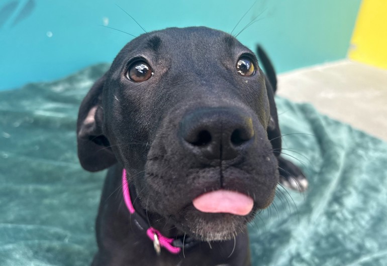 Image 2026 02 15T142816.925