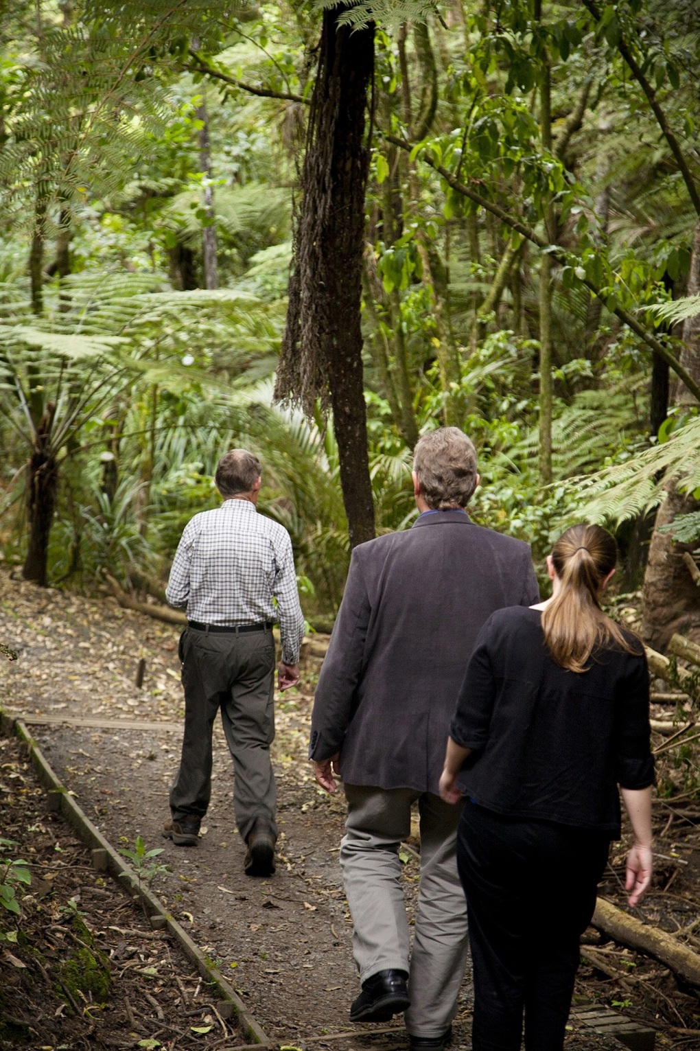 A piece of ecological paradise restored (2)