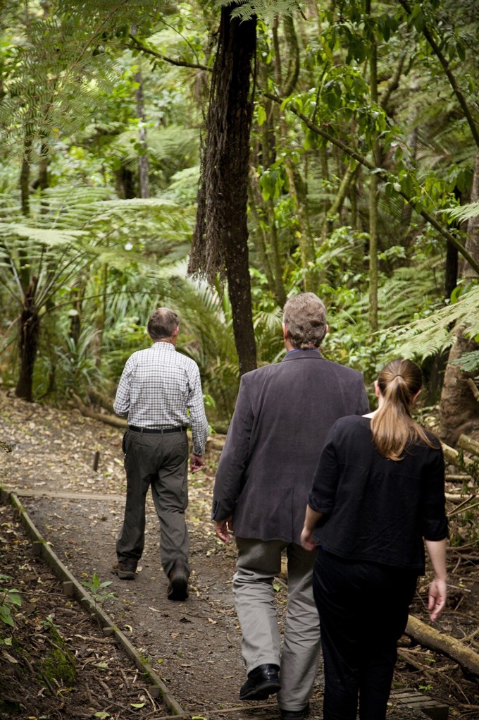A piece of ecological paradise restored (2)
