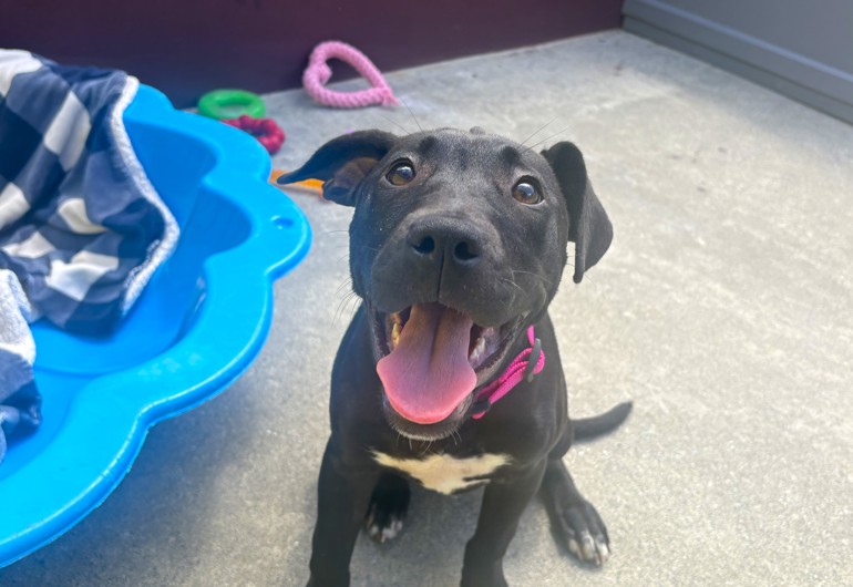 Image 2026 02 15T143033.760