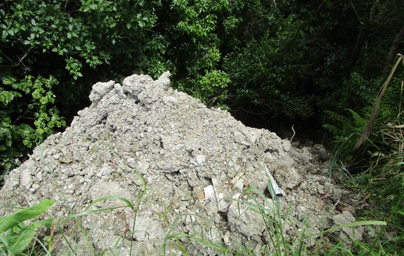 Illegal dumping earns Auckland man community work OurAuckland