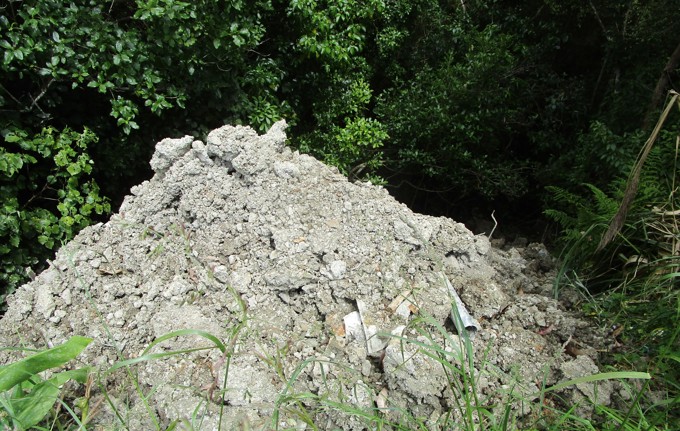 Illegal dumping earns Auckland man community work