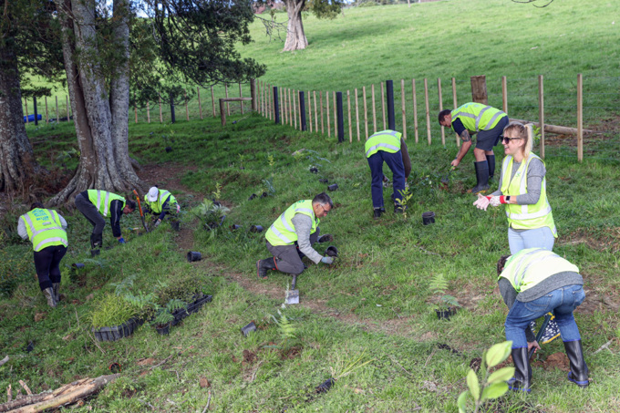 38 392858 Planting Day Stream Launch