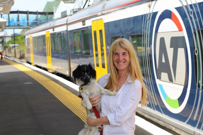 Pets get final okay for travel on trains