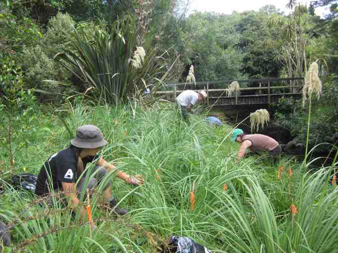 Friends of Oakley Creek I