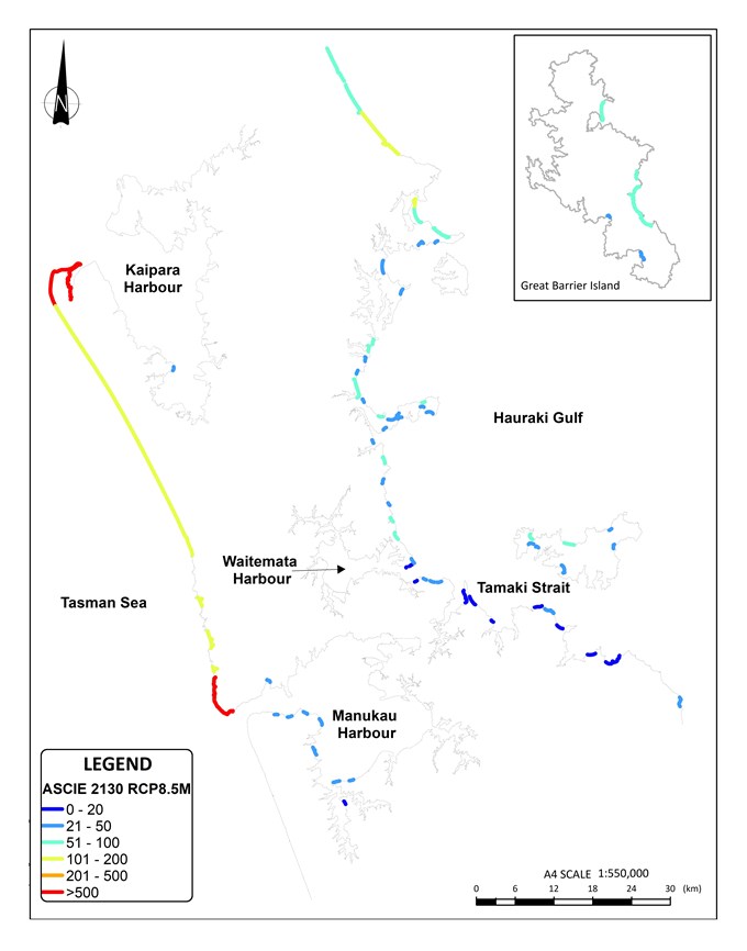 Prediction and planning – coastal erosion in Tāmaki Makaurau