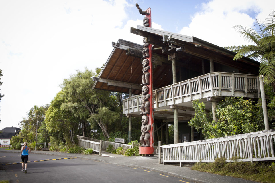 Five of the best Weatherproof picnic spots around Auckland OurAuckland