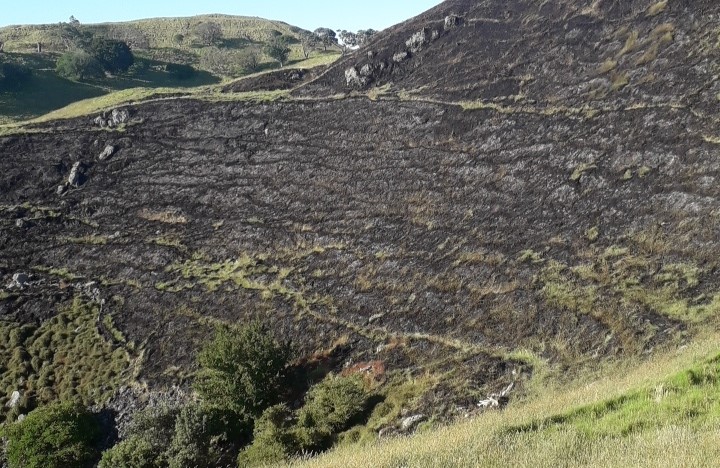 Fire damage to Te Pane o Mataoho / Te Ara Pueru / Māngere Mountain, December 2019.   Credit: Tūpuna Maunga Authority