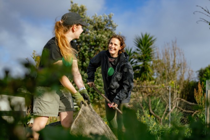 Community Gardens Image 4