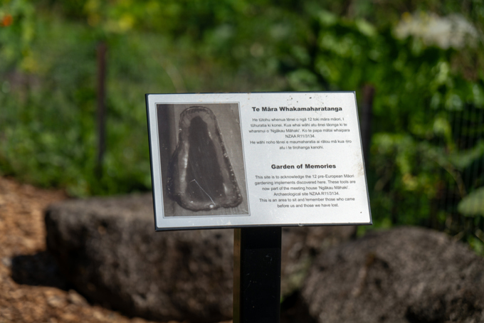 Albert Eden Sustainable Garden Trail 4