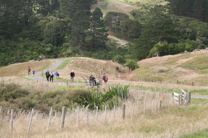 Mangemangeroa plans adopted