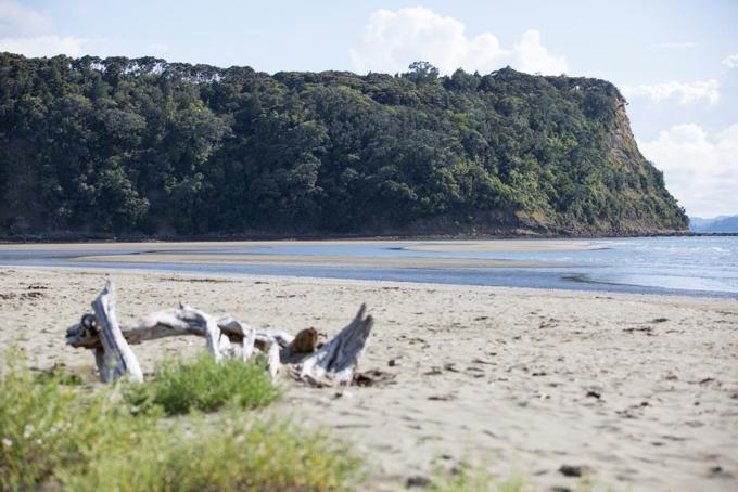 Wenderholm Regional Park