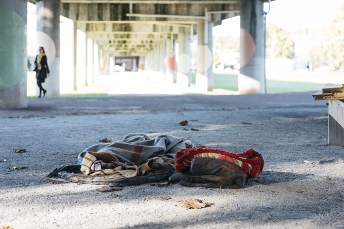 Committee considers report on homelessness