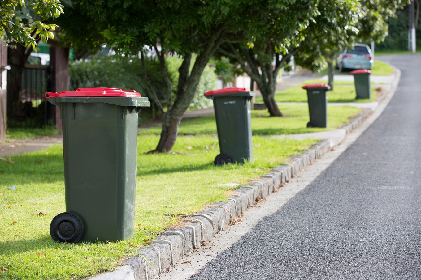 Disposing of stormrelated waste OurAuckland