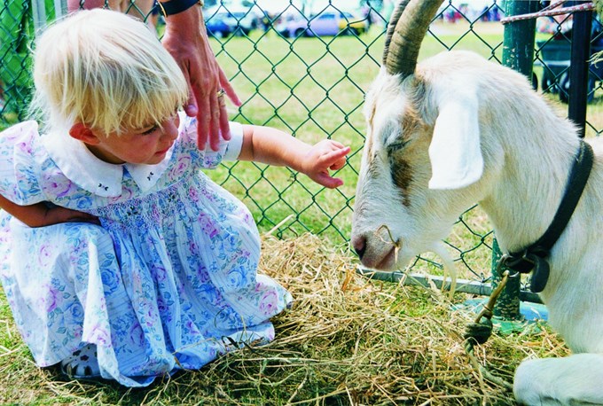 11 places to see baby farm animals in Auckland this spring - OurAuckland