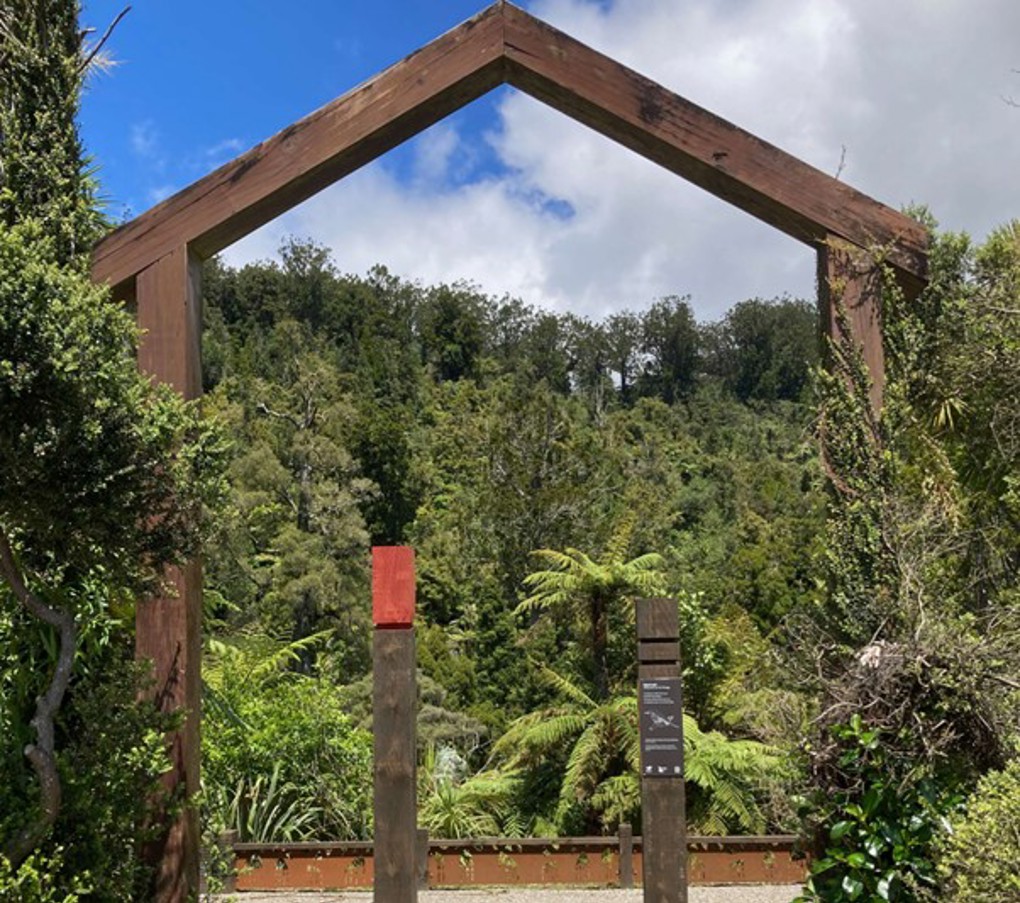 Cascade Kauri