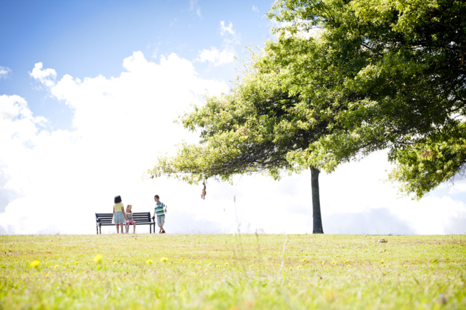 Auckland Council reaffirms commitment to tackling climate change (2)