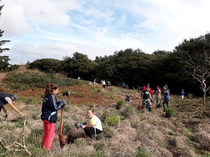 Not a rat in sight during world rat expert visit (1)