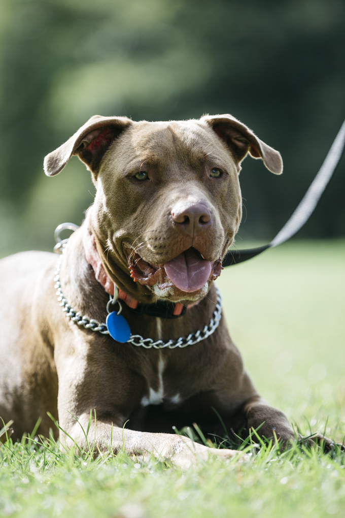 TXT2DESEX kicks in at Kelston