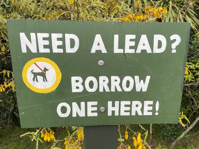 Dog lead 1