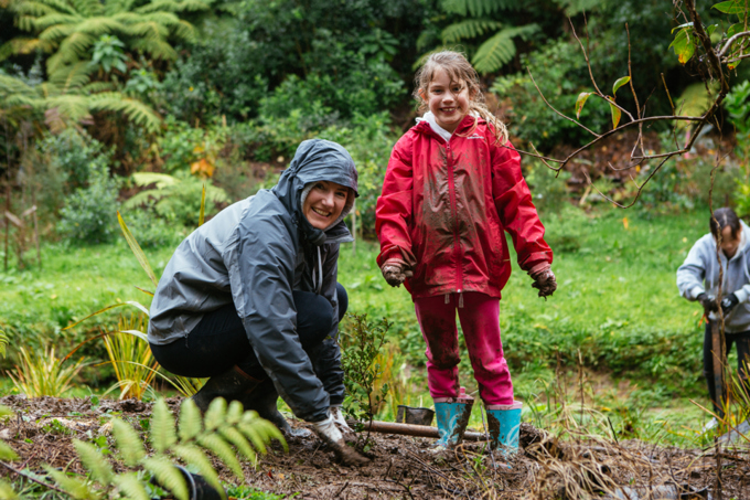 Albert Eden Local Heroes 1