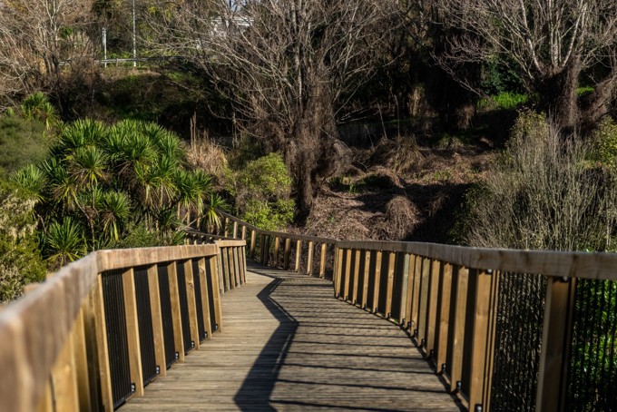 Kowhai Park Walkway