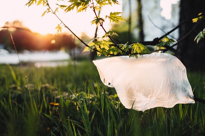 Single-use plastic bags to be phased out
