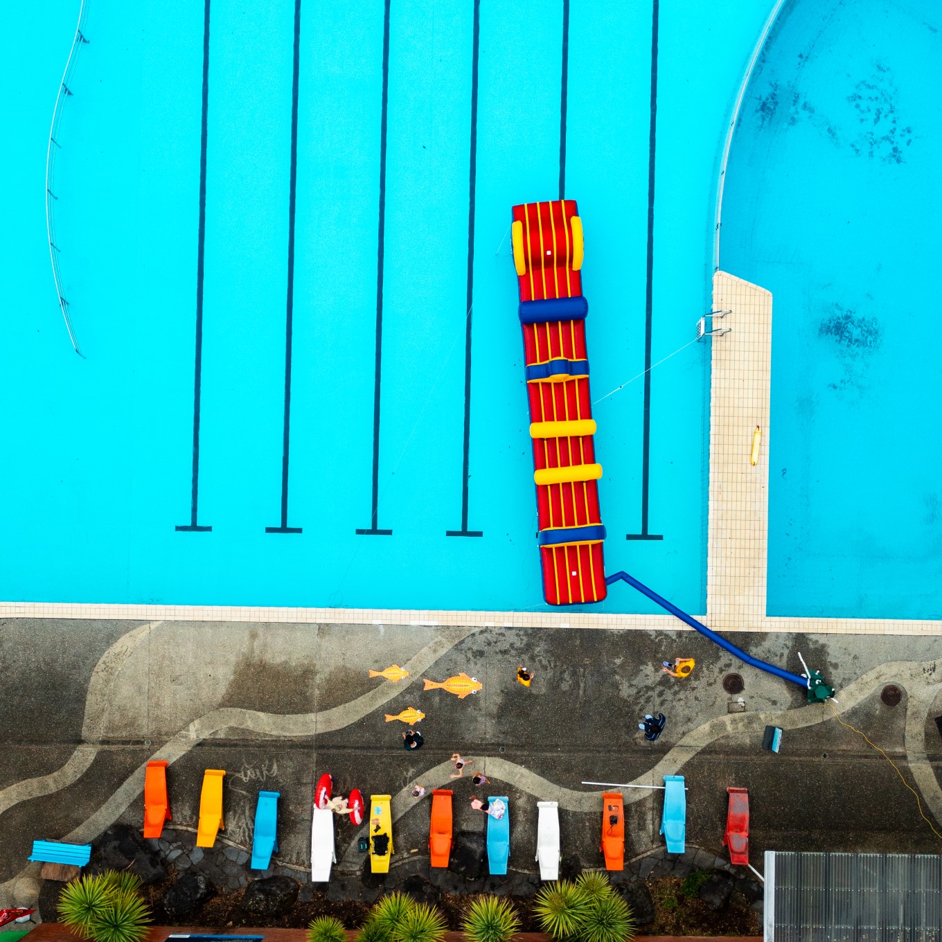 The outdoor swimming lanes at Point Erin Pool are great way to cool off in summer while getting a dose of vitamin D.