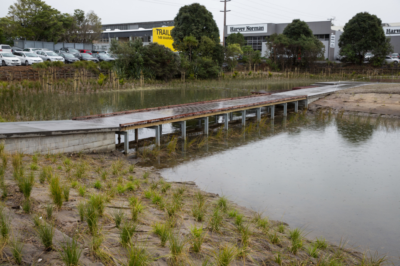 Wairau Valley wetland and shared path now open OurAuckland