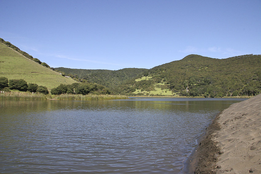 Work is under way to reopen the Lake Wainamu loop track, near Bethells Beach.