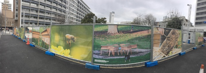 City block turned into bee refuge 2