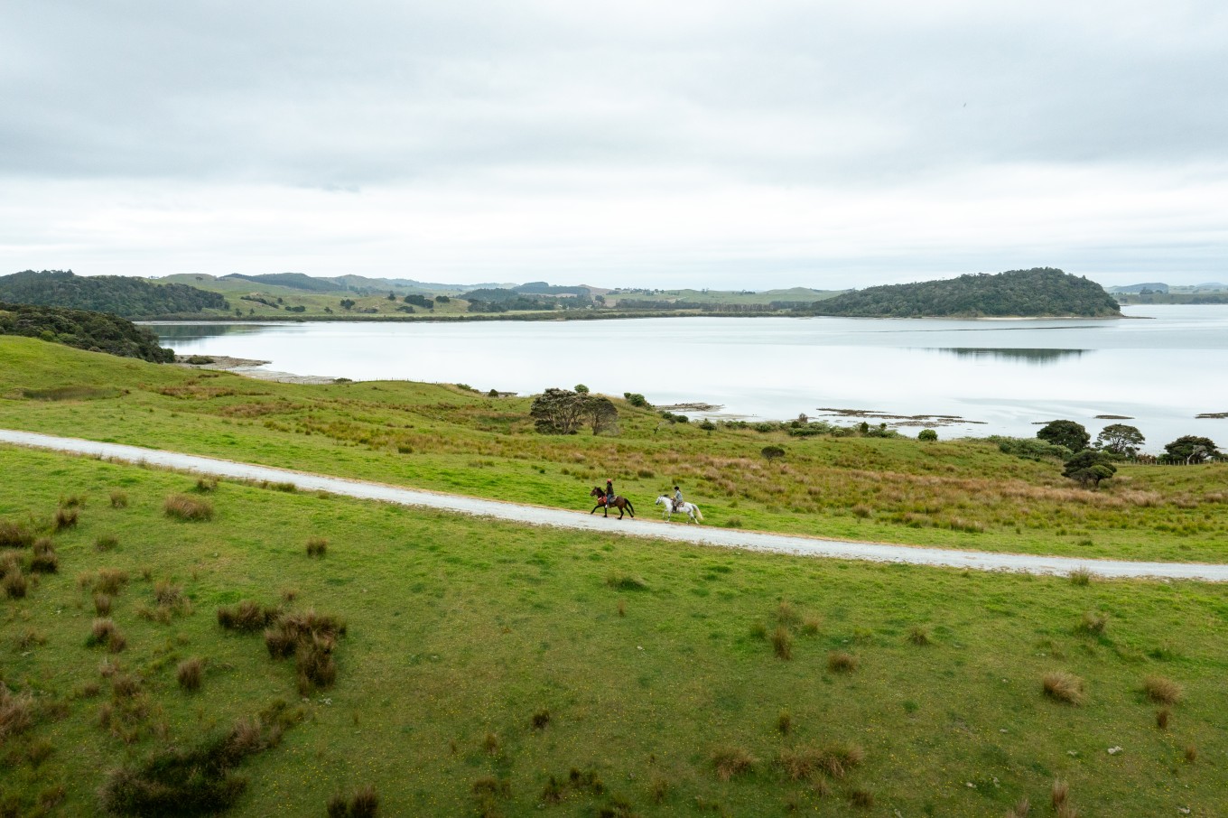 Horse riders on a coastal area. 