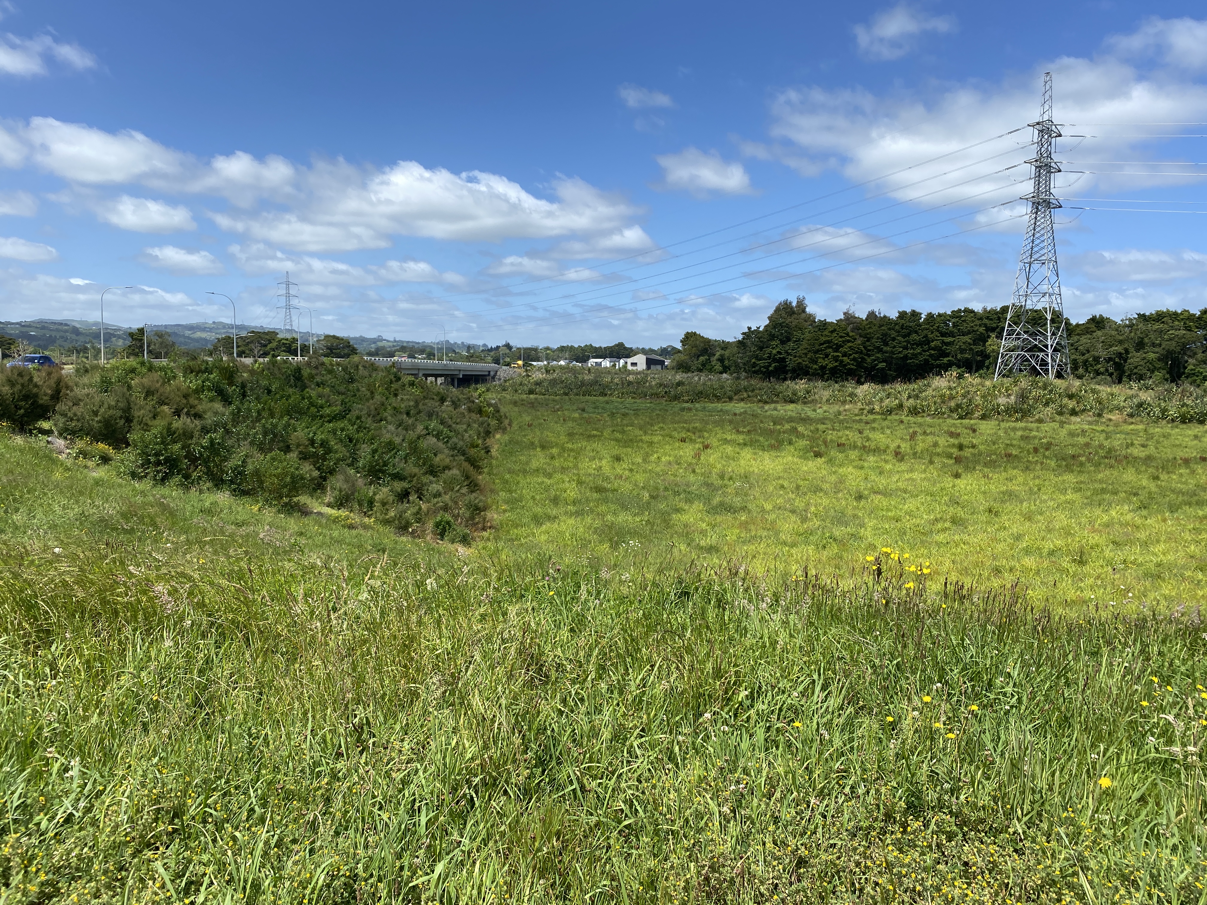 Wetlands at Drury South have incorporated traditional climate control methods into their design.