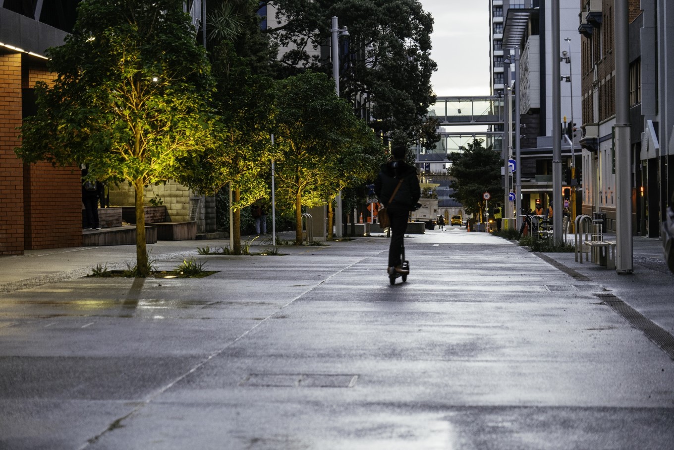 Looking down Auckland's Federal Street with leafy trees on each side