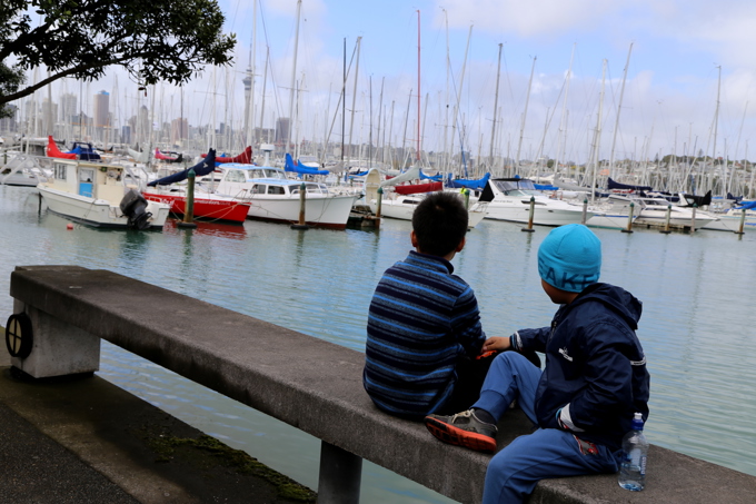 Clean record at Westhaven Marina