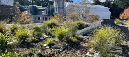 Central City Library Rooftop