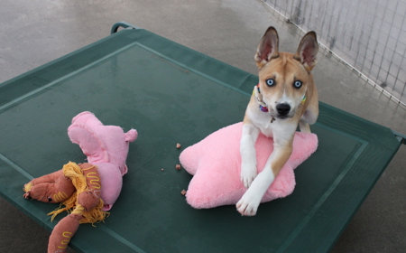 Te Waihou tile image