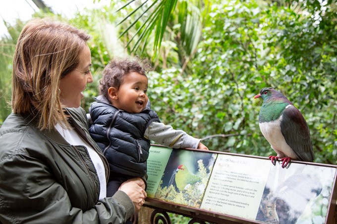 Zoo’s new membership offer perfect for Christmas
