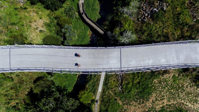 Which Auckland path will you follow