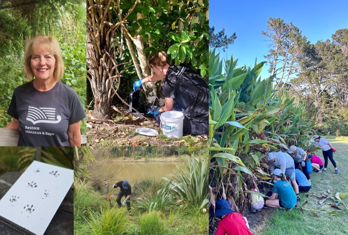 pest plants and predator workshop_kcs1zu2x.jpg