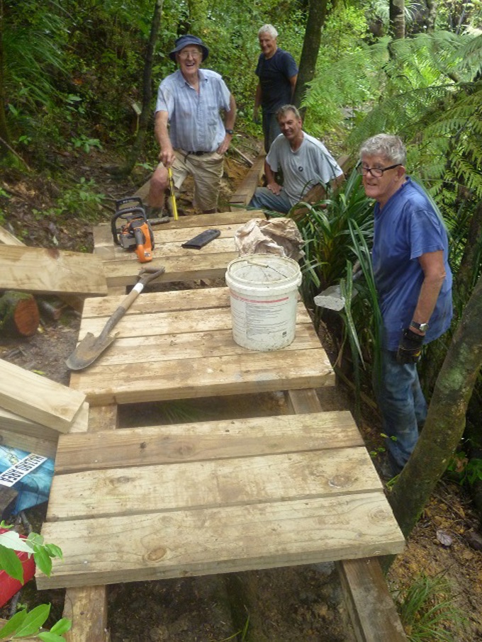 New track protects Kauri roots