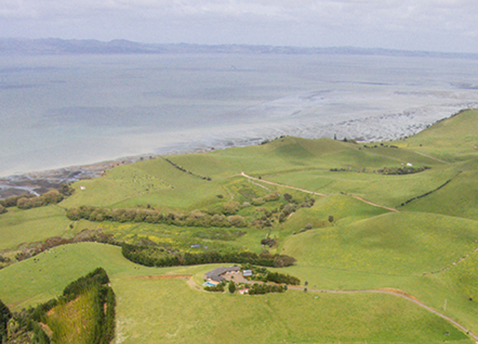 Making the most of green space