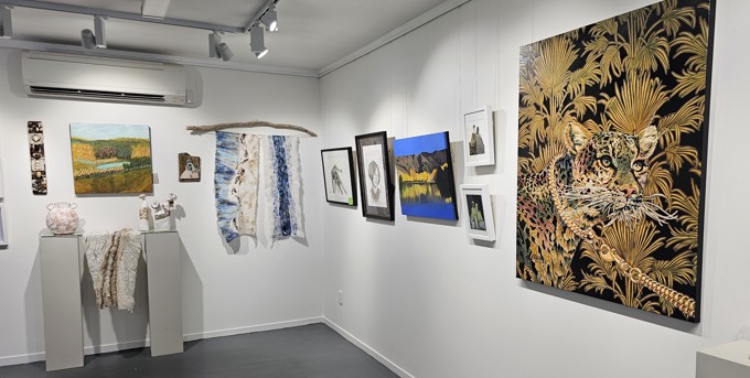 20250303_140030 cropped_ucdshgmh.jpg