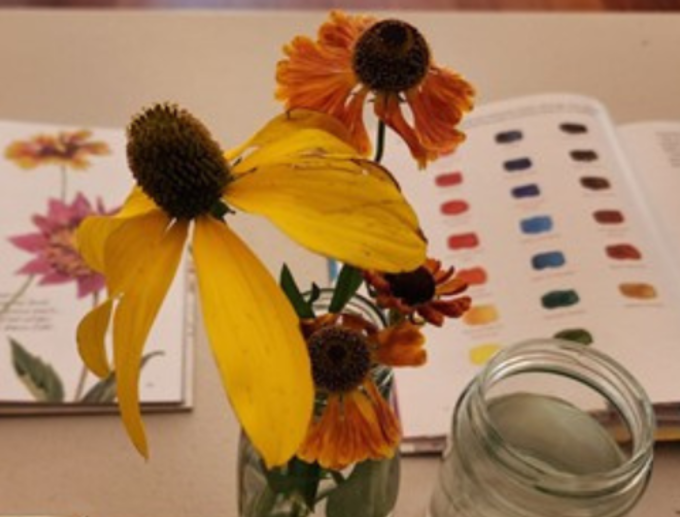 Auckland Council banner Alliance France_tunowbvo.png