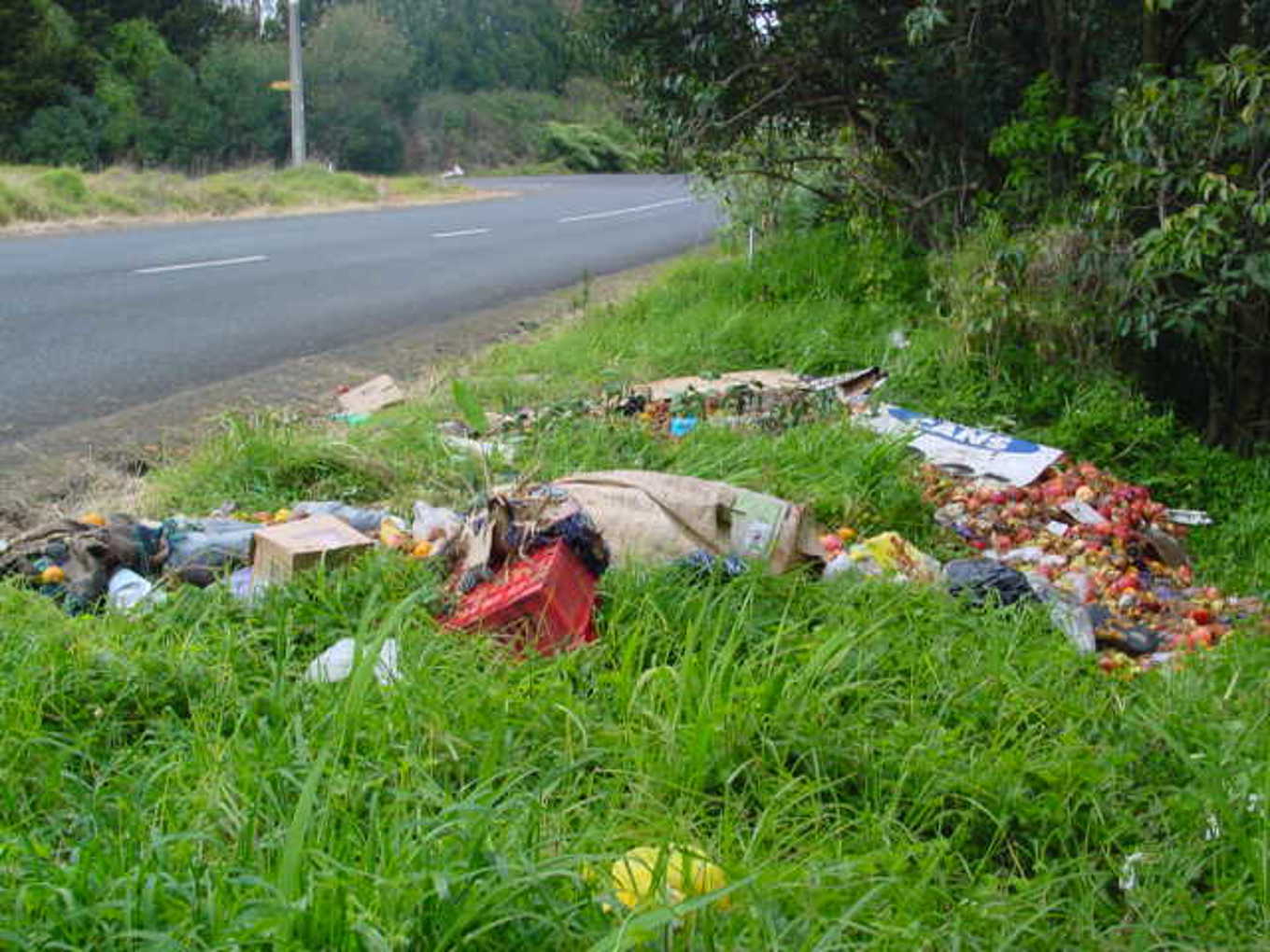 Mayor announces more resources to tackle illegal dumping OurAuckland