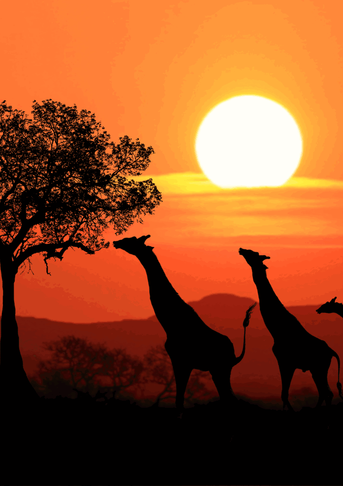 Armchair Travel Talk - Kenya & Tanzania (6)_ree1wy3l.png