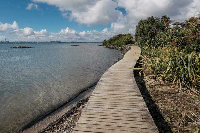 Are cleaner Waterways on the way for Waitakere?