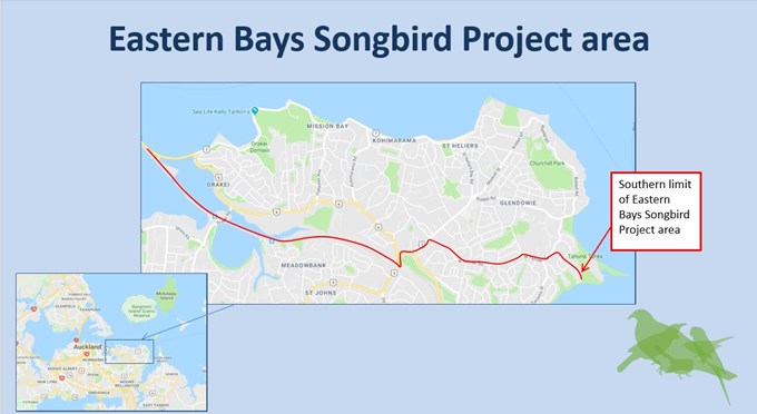 The Eastern Songbird Project Map